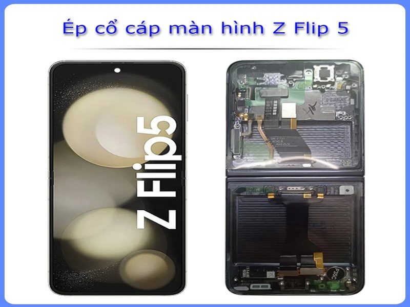 Ép cổ cáp màn hình Samsung Galaxy Z Flip là gì?