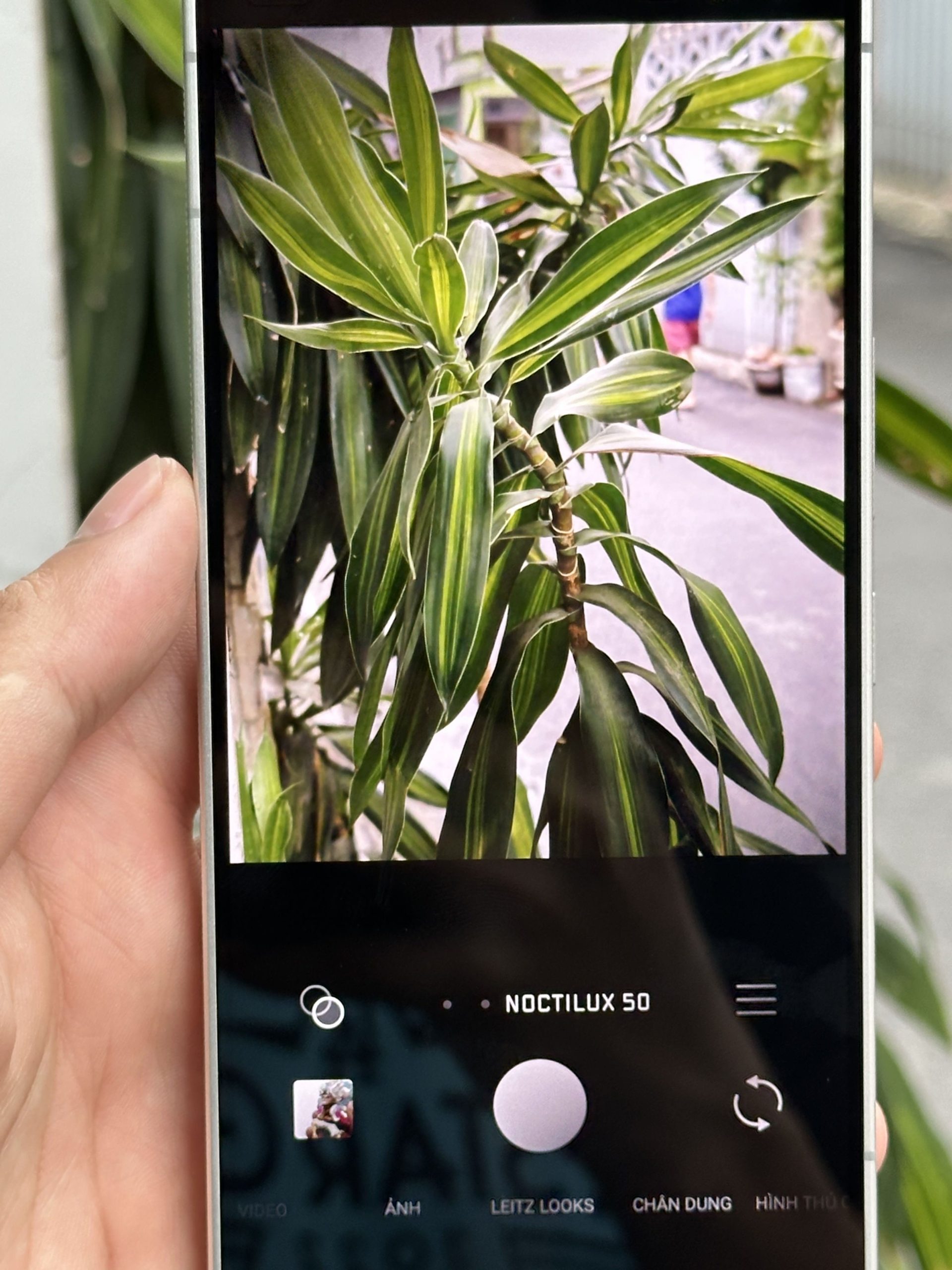 Cụm camera Leica Leitz Phone 2 cũ thiết kế tinh tế, cảm biến lớn